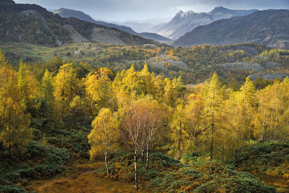 Masters of Landscape Photography Hodge Close