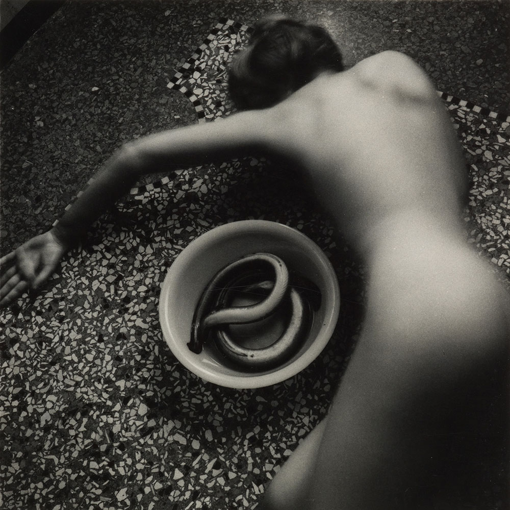 Life in Motion Francesca Woodman Eel Series