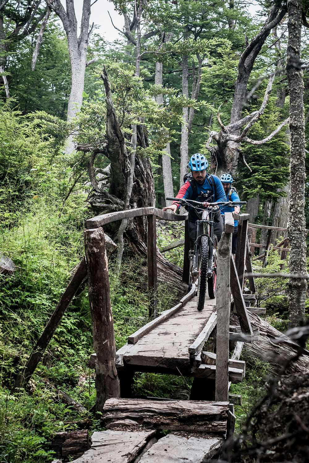Panasonic G9 Circuit de Navarino trail