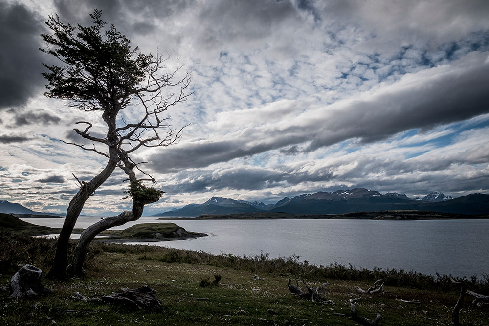 Panasonic G9 Navarino Island