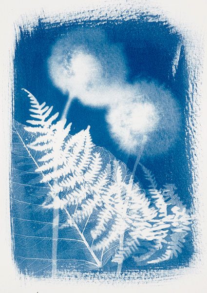 Cyanotypes be creative