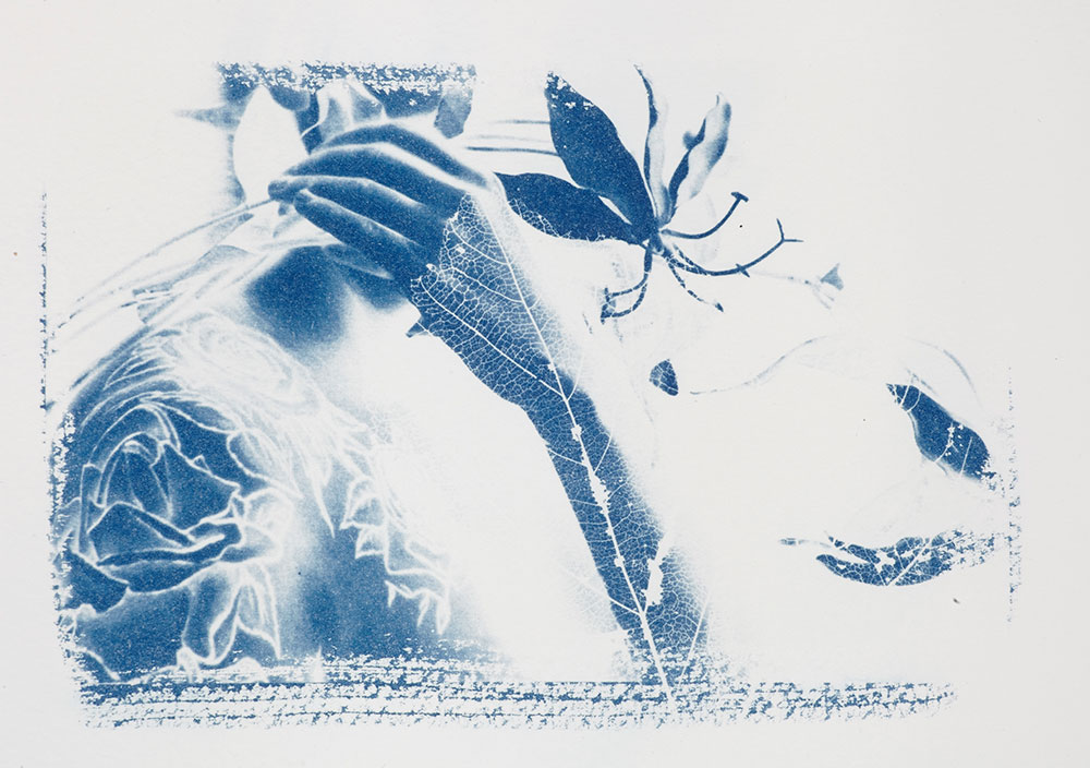 Cyanotypes using digital negative