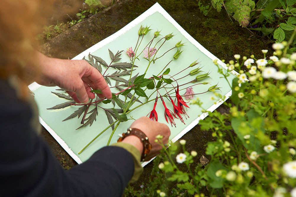 Cyanotypes working with nature
