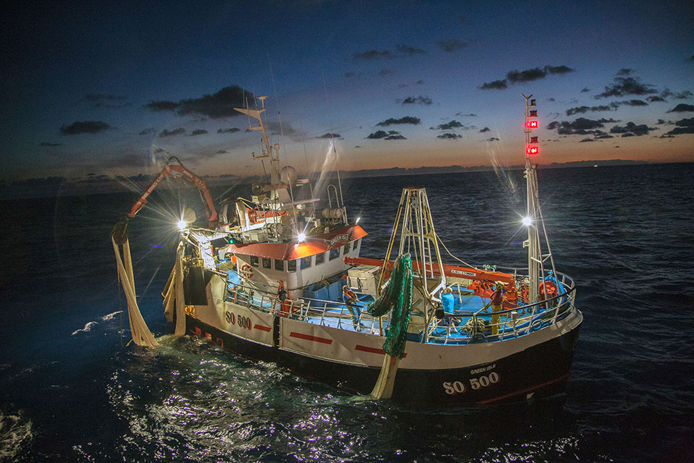 John Roberts Dawn fishing