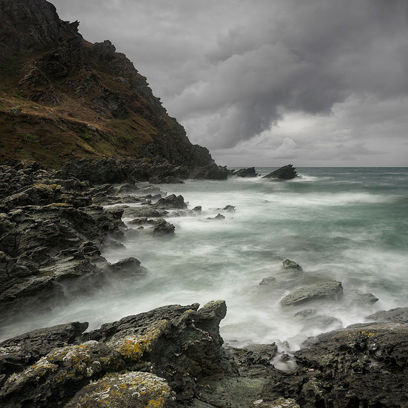 APOY Neil Burnell South Hams