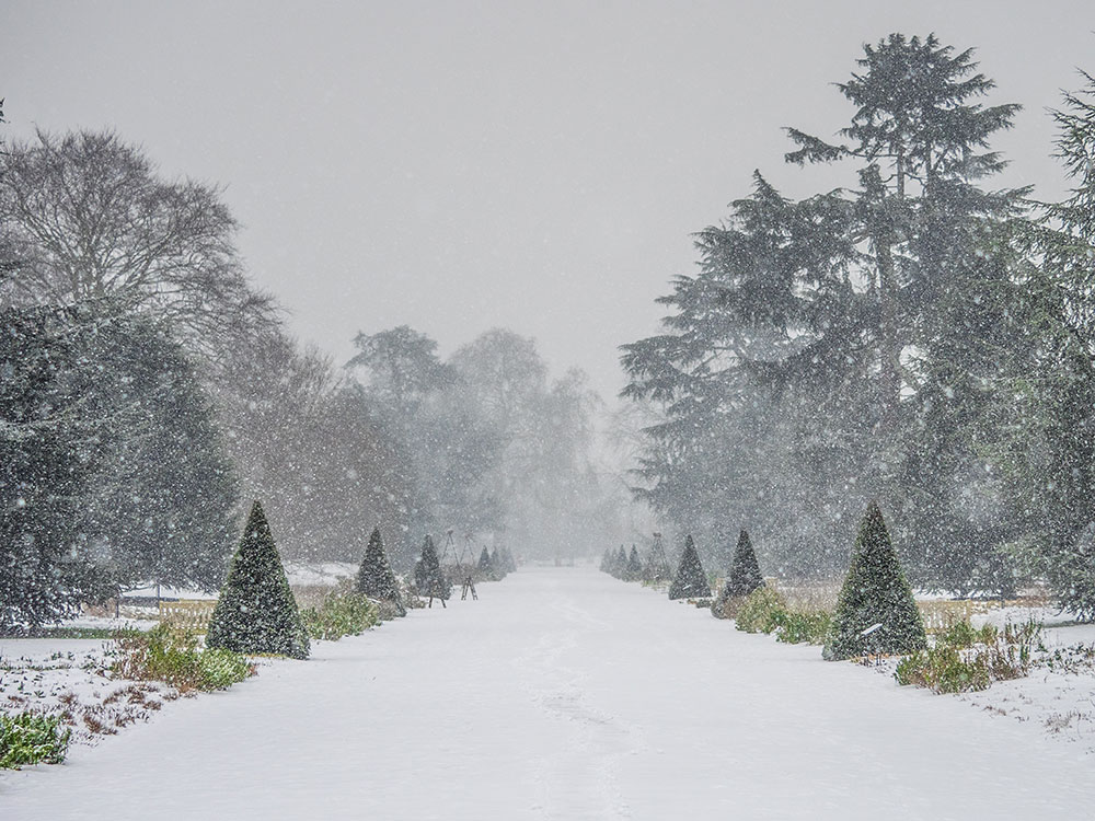 IGPOTY Dick Hawkes Snowing on the Great Broad Walk