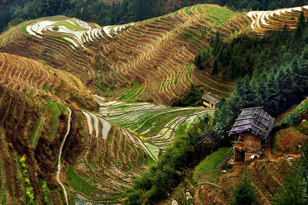 IGPOTY Gloria King Longji Rice Terraces