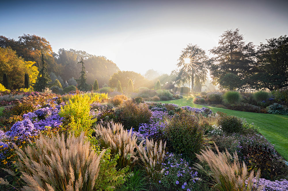 IGPOTY Richard Bloom Bressingham Gardens