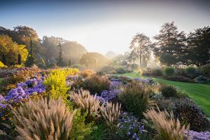 IGPOTY gardens