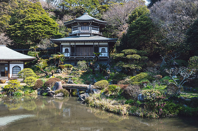 Nikon Z 6 general