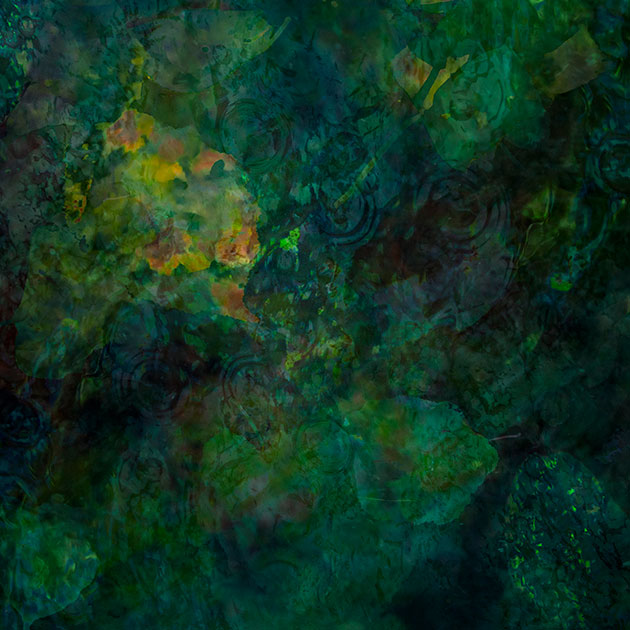 Doug Chinnery in Monets footsteps
