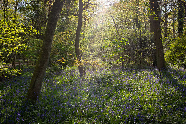 Myths high res sensor needed for landscapes
