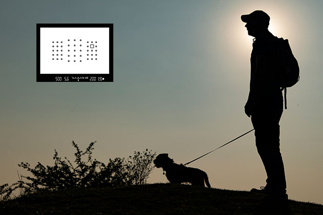 AF mistakes silhouettes