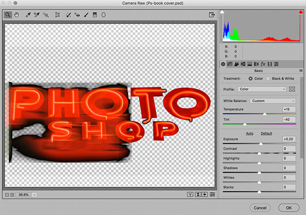 Camera raw layered image