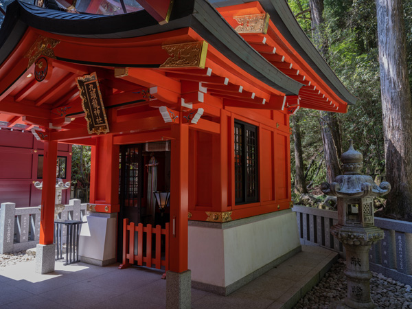 Fujifilm GFX100 IBIS example