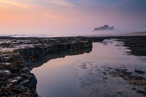 Landscape editing