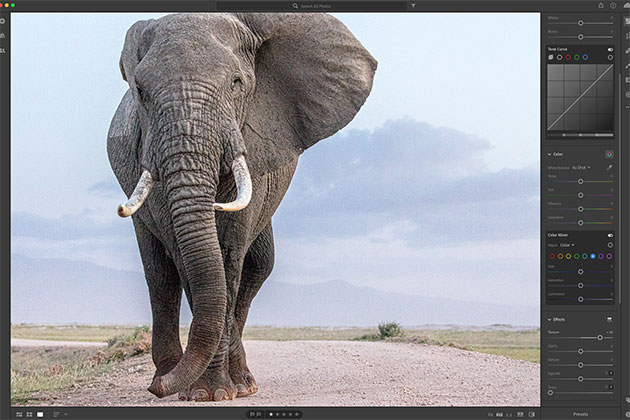 Lightroom texture slider