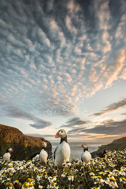 Lens choice wildlife think landscape