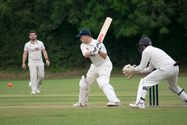 Nikon D5300 cricket