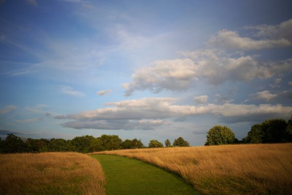 Andy Westlake / Amateur Photographer