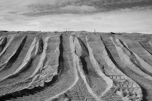Landscape patterns