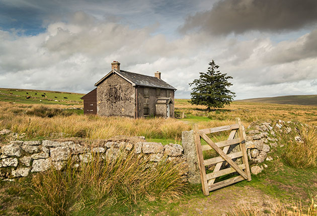 Landscape textured skies