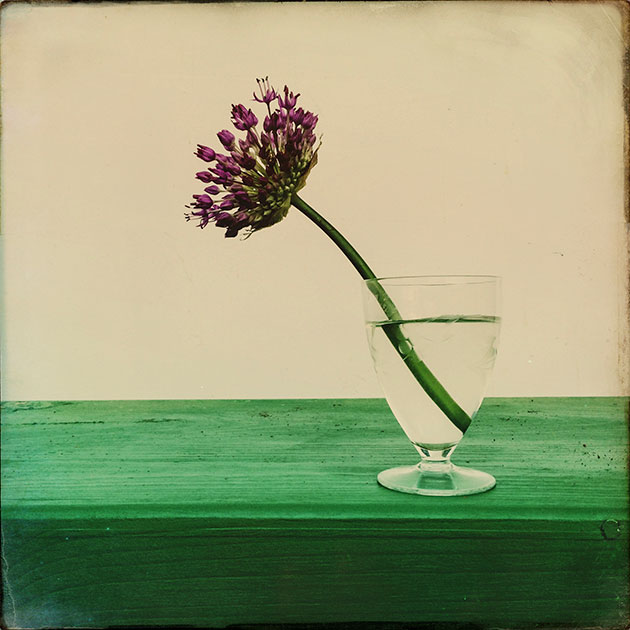Still life horizon