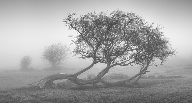 Winter photos plug-ins