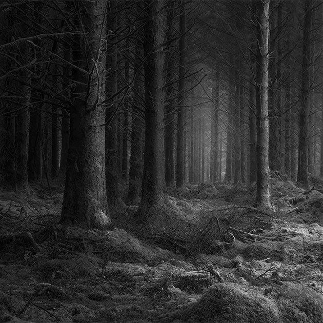 Winter photos ray of light