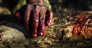 Photographers Against Wildlife Crime | Book review