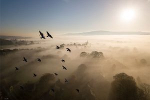 British Wildlife Photography Awards 10 | Book review