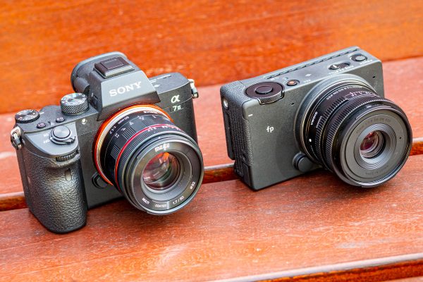 Sigma fp vs Sony A7 III