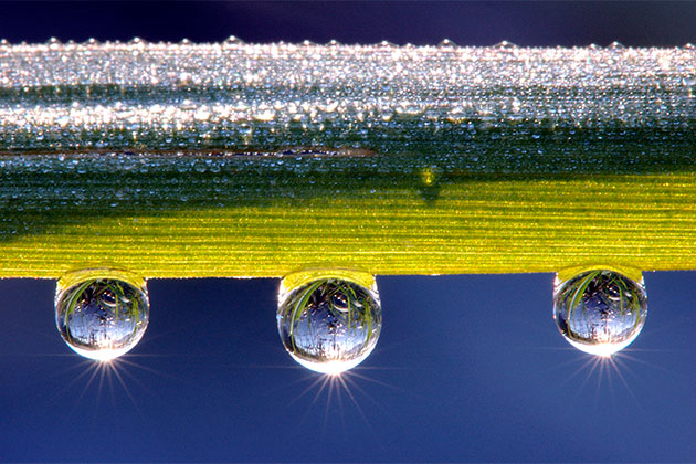 Water abstracts