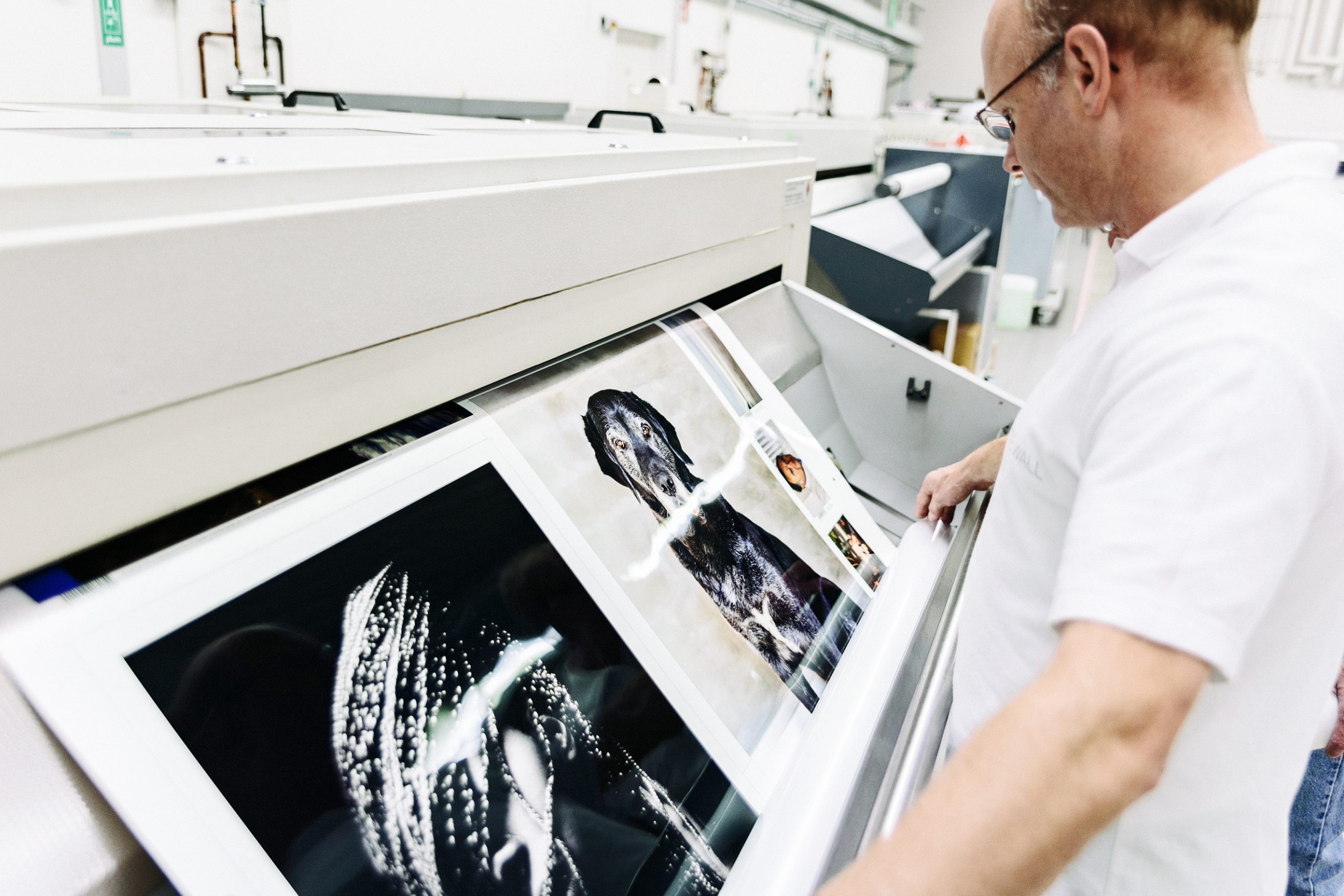 WhiteWall photo printing