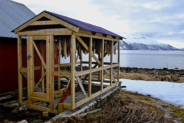 AP Awards Graeme Chesters Longyearbyen fish