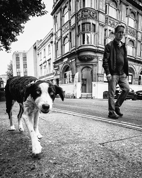 AP Awards Matt Walkley dog