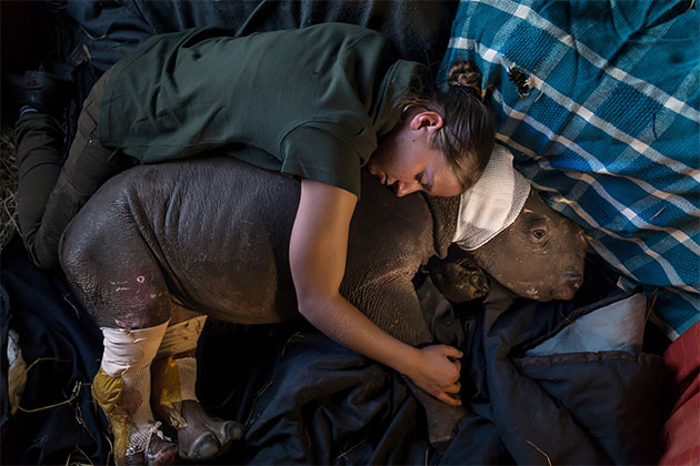AP Awards Photographers against wildlife crime