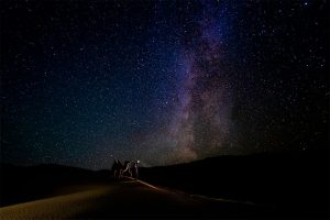 APOY Caron Steele after dark