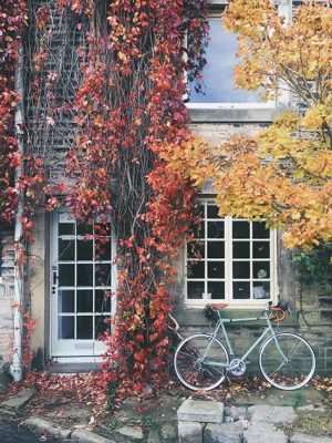 Instagram Sara Tasker bike