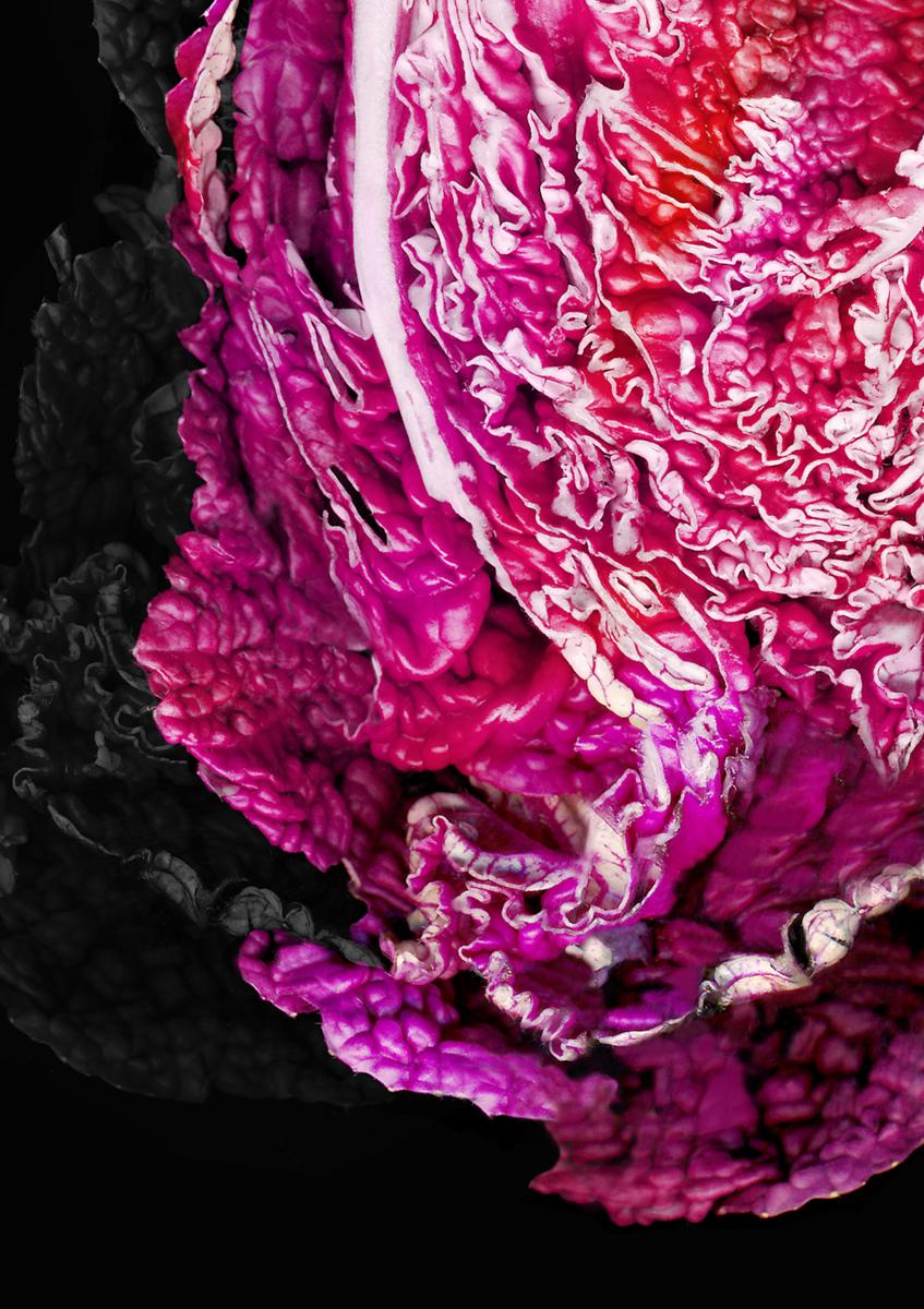 Let it decay - food photography projects