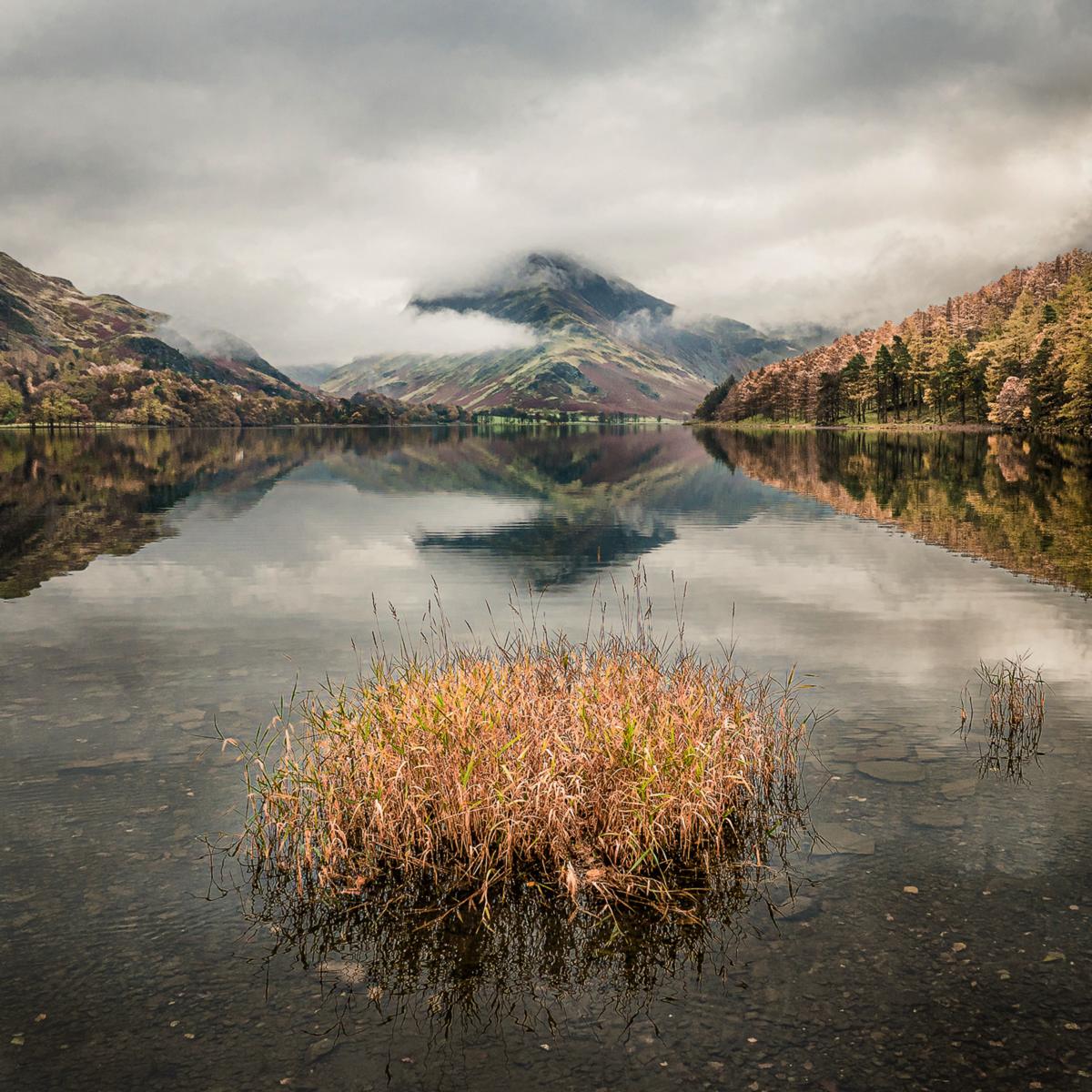 Buttermere Reeds, by Peter Highton
