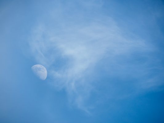 Olympus 12-200mm review sample