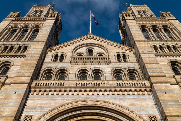Leica SL2 resolution image sample