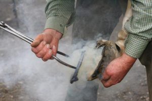 A farrier hot shoeing a horse