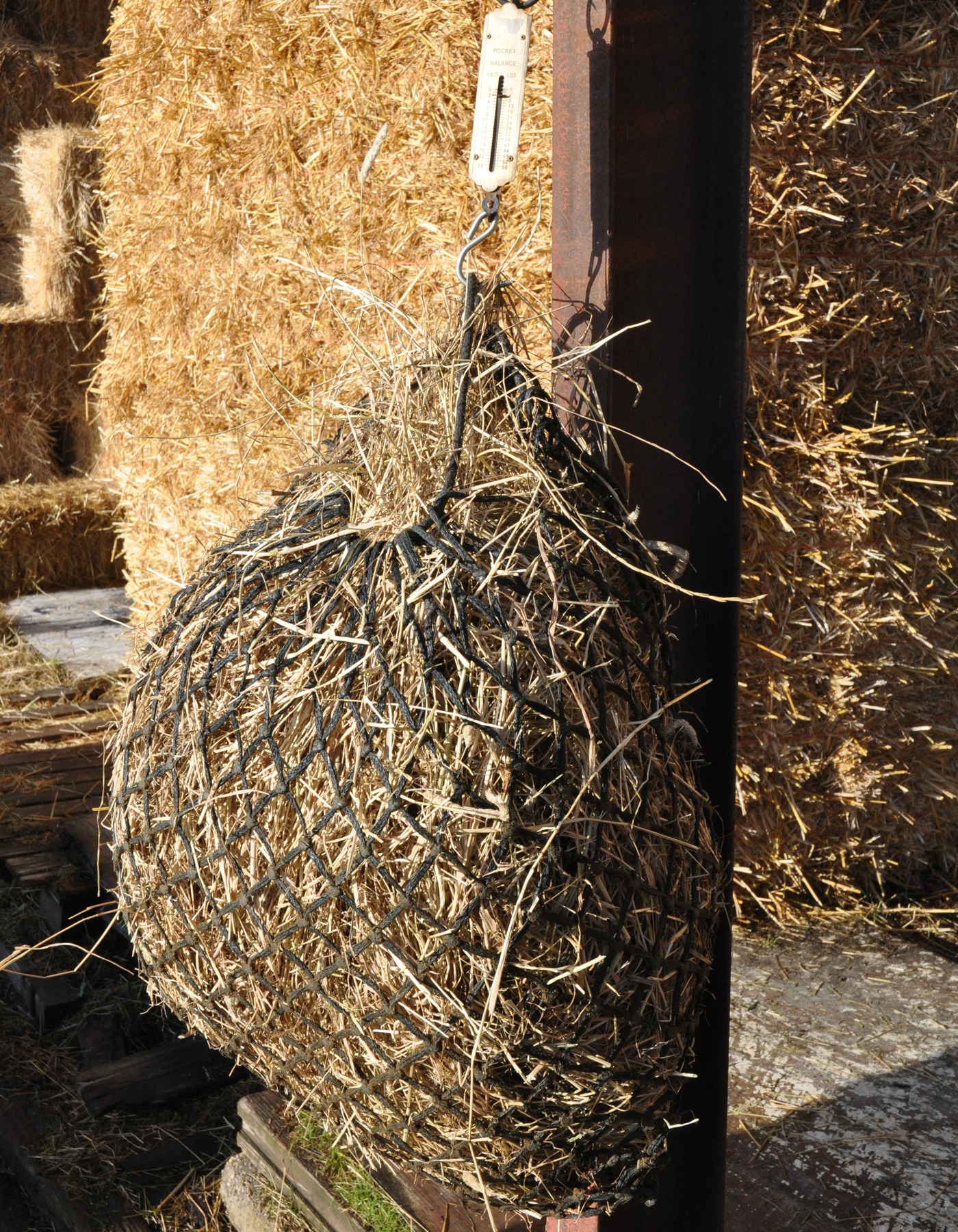 Hay-being-weight-1400x1700