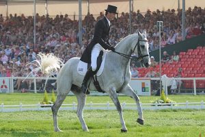 Mark Todd riding NZB Land Vision at BadmintonMark Todd riding NZB Land Vision at Badminton