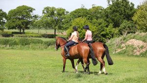 sharing a horse