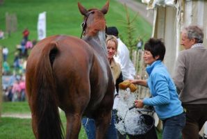 Grooms washing off horse after cross-country phase