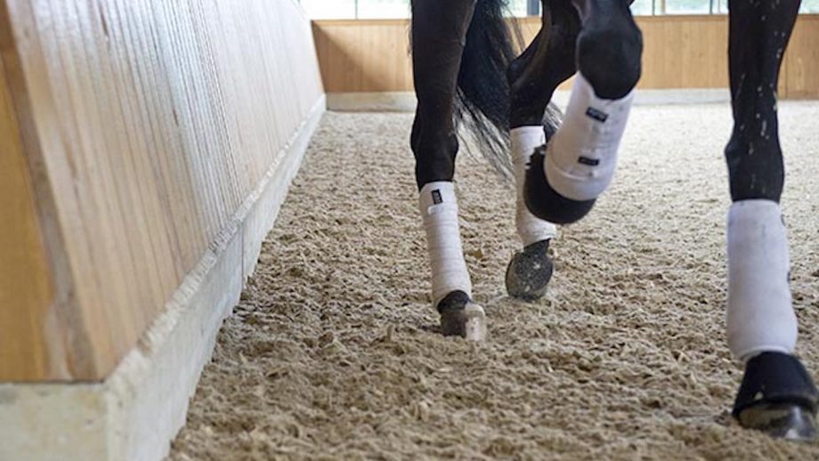 US dressage rider, trainer and author Jane Savoie, who passed away in December 2020, explains what the half halt is, why it is useful and most importantly, how to ride it The half halt is an essential part of every rider’s tool kit.