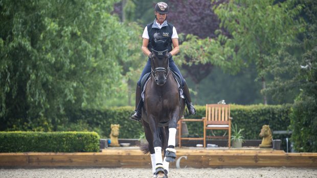 Carl-Hester-Image-Hero new